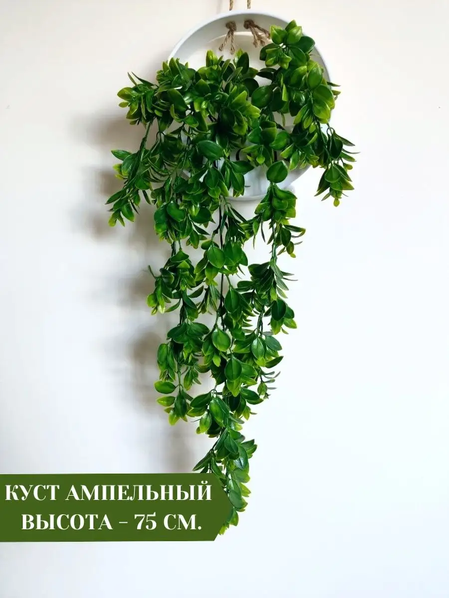 Лианы, Лианы декор, ампельные A&Y decor for you! купить по цене 375 ₽ в  интернет-магазине Wildberries | 100243260