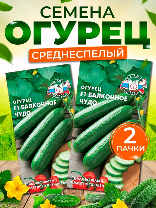 Купить Семена Балконных Огурцов