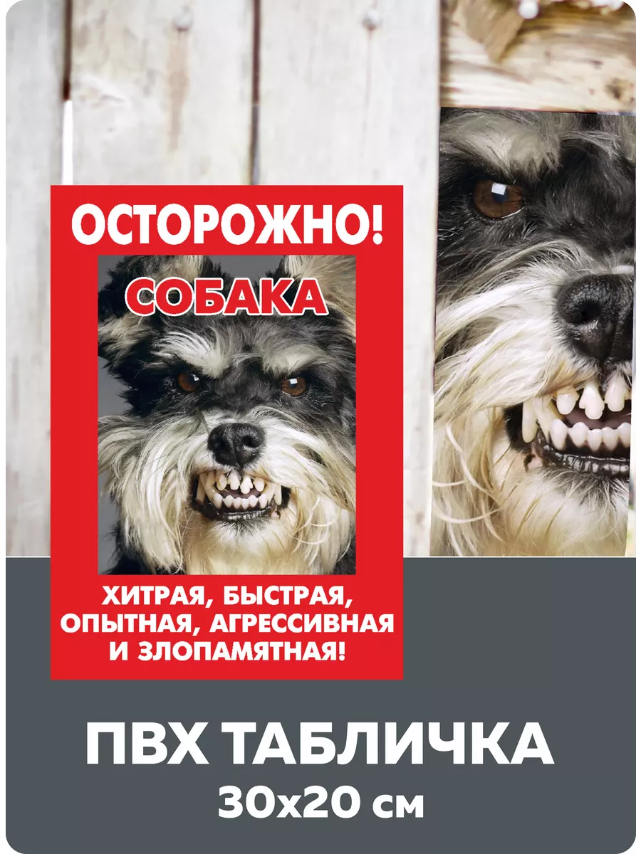 Табличка Злая собака 20х30 см ПВХ Территория охраняется Завод Рекламных  Конструкций купить по цене 180 ₽ в интернет-магазине Wildberries | 72327222