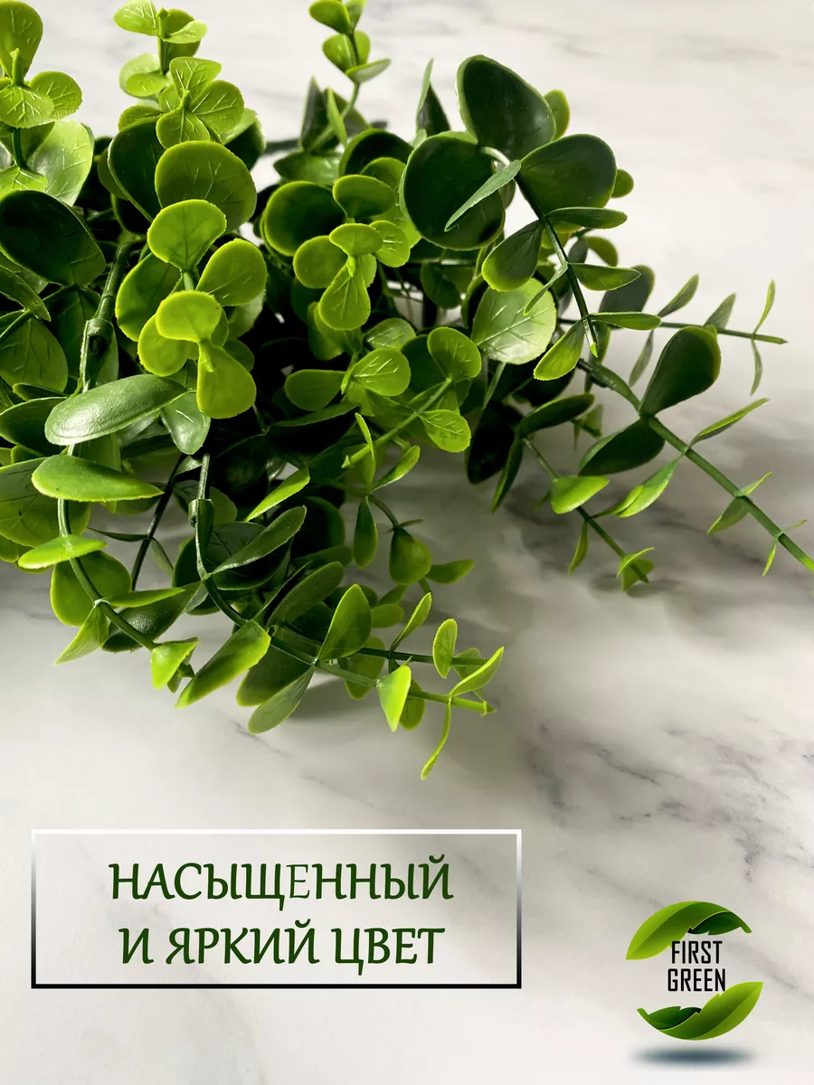 Искусственное растение для декора самшит First green купить по цене 312 ₽ в  интернет-магазине Wildberries | 72440492