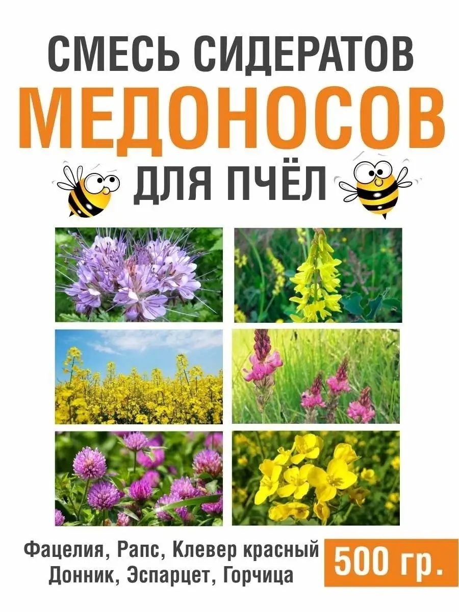 Садовый центр, садовый центр, ул. Пирогова, 9Б, Новокузнецк — Яндекс Карты