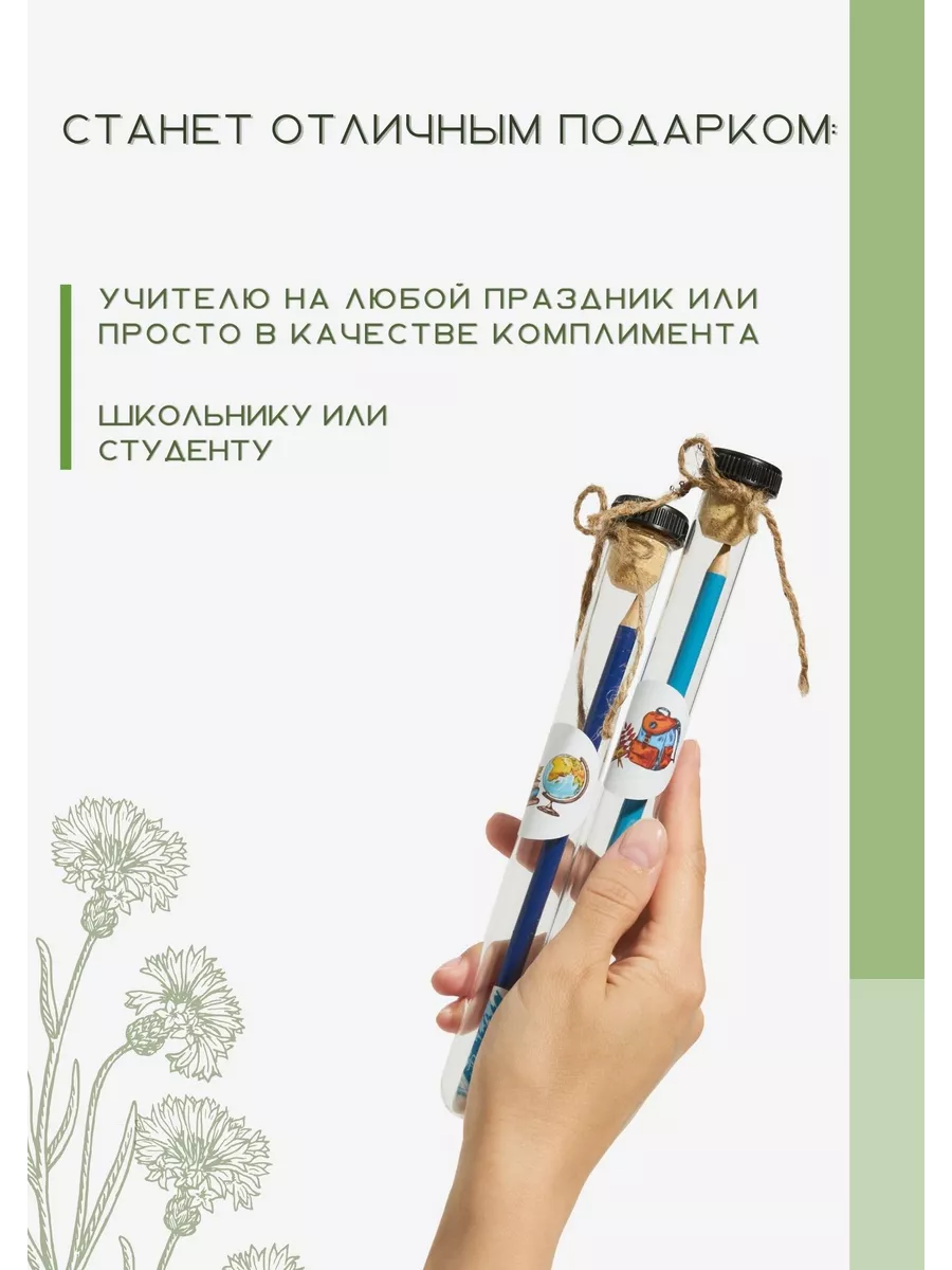 Карандаш простой 5 шт, подарок на выпускной ECO подарки купить по цене 807  ₽ в интернет-магазине Wildberries | 72665335