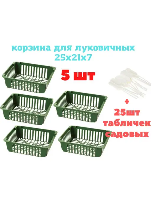 KOMPLEKT PLASTIK Корзина для луковичных растений цветов тюльпанов