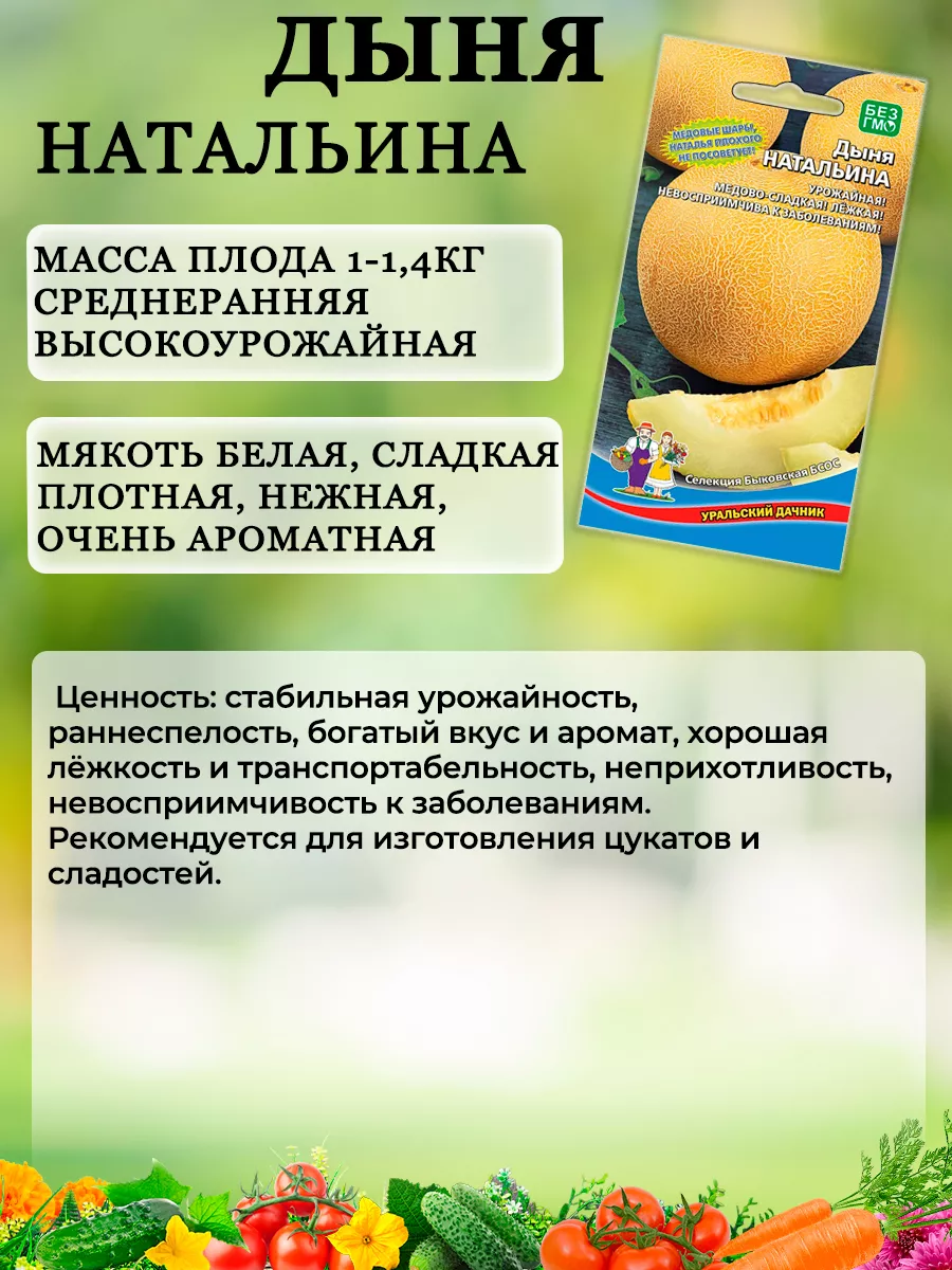 Семена Дыни Натальина Уральский Дачник купить по цене 134 ₽ в  интернет-магазине Wildberries | 73505790