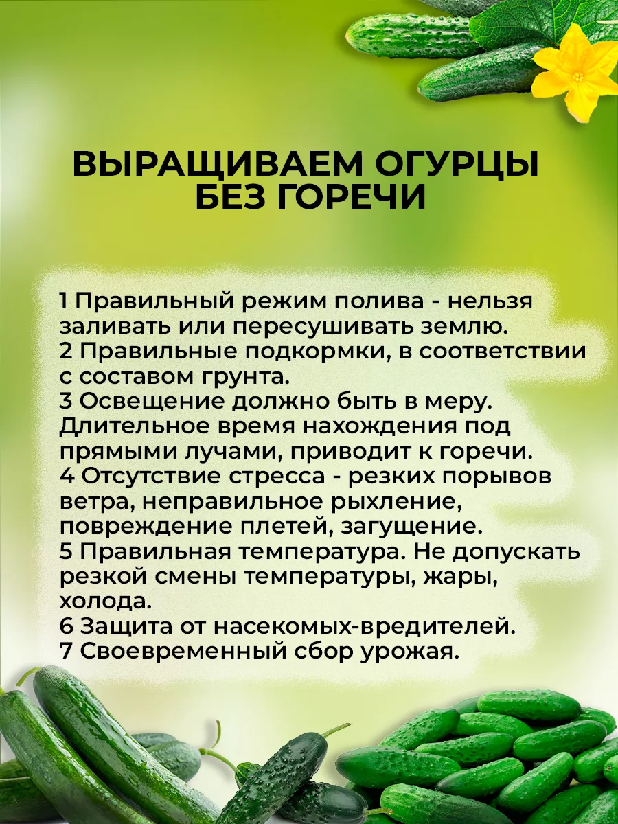 Огурец урал. Огурцы Уральский Дачник. В каком виде вводить огурец малышу.