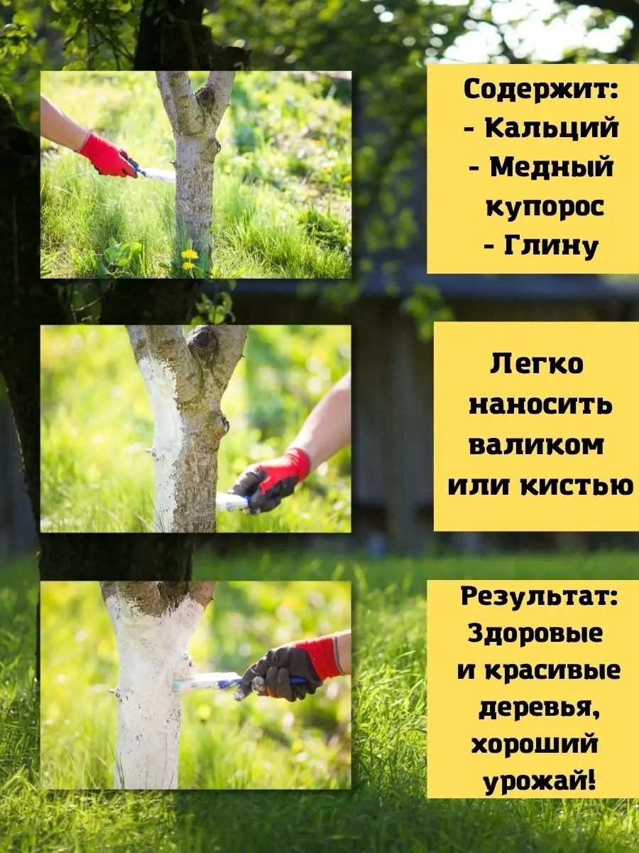 Побелка или краска для деревьев что лучше. Садовая побелка для деревьев. bitumast побелка для деревьев. светофор побелка для деревьев. побелка для деревьев своими руками несмываемая.
