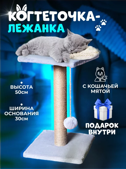 У кошки выпадают когти, что делать?