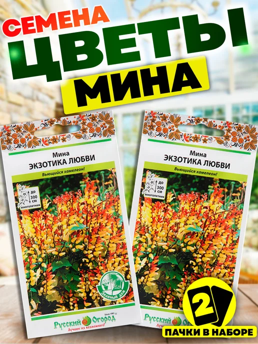 Мина экзотика любви фото в саду семена ипомея