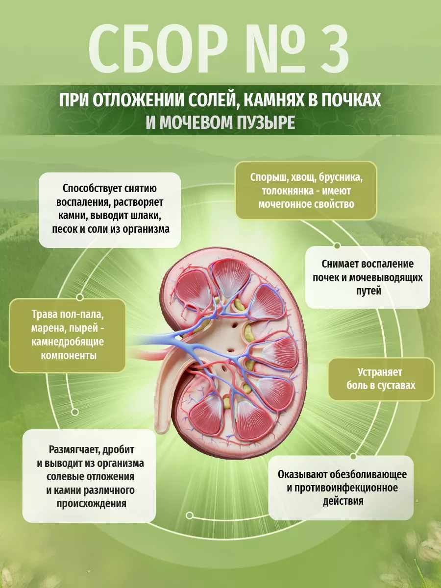 Травяной сбор мочегонный при отеках и камнях в почках Травы Кавказа купить  по цене 195 700 сум в интернет-магазине Wildberries в Узбекистане | 76547423