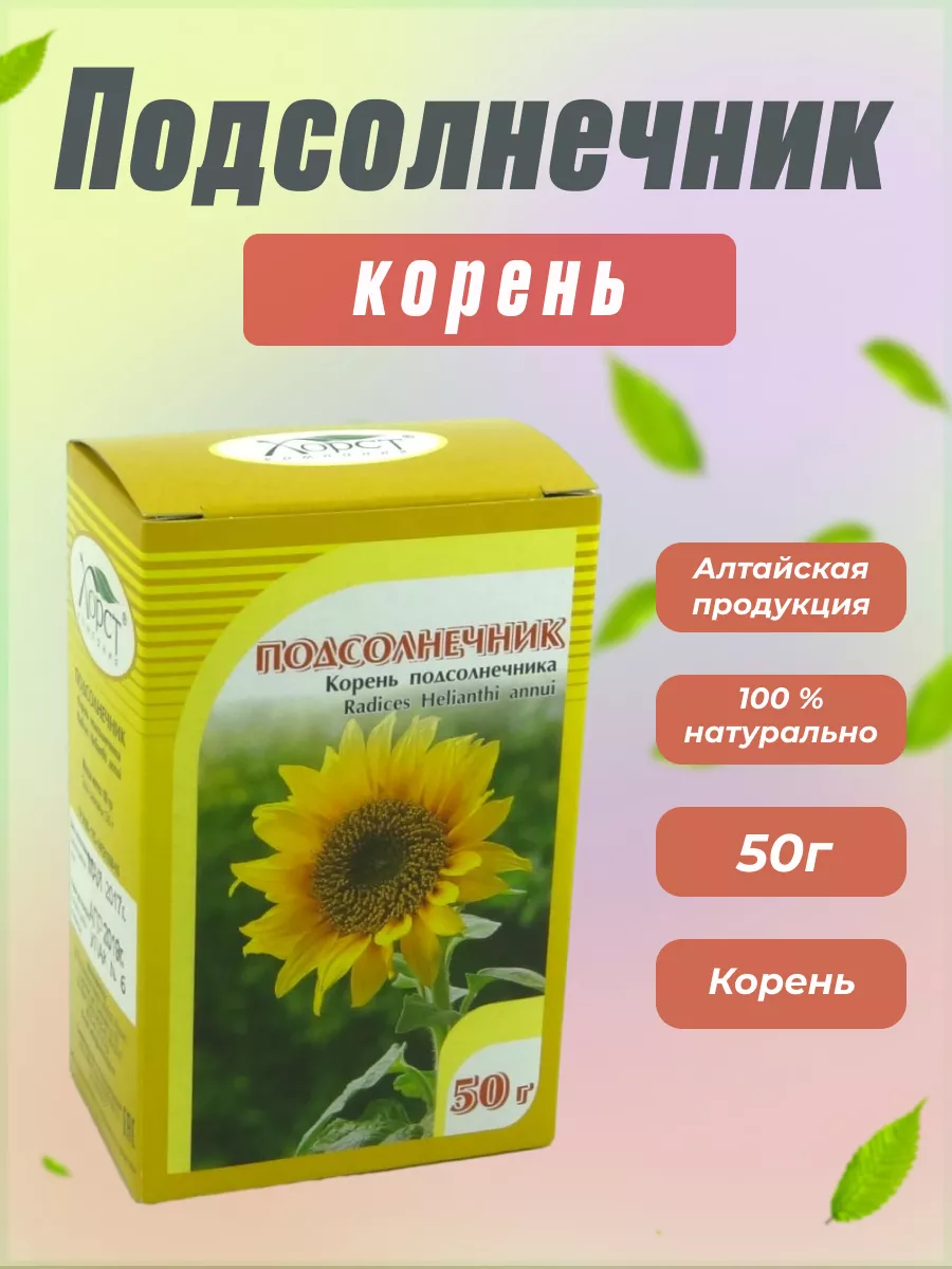 Корень Подсолнуха Купить