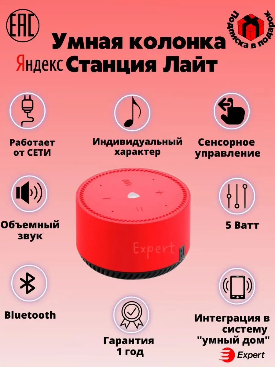 Станция лайт 2 функции. Умная колонка станция лайт.
