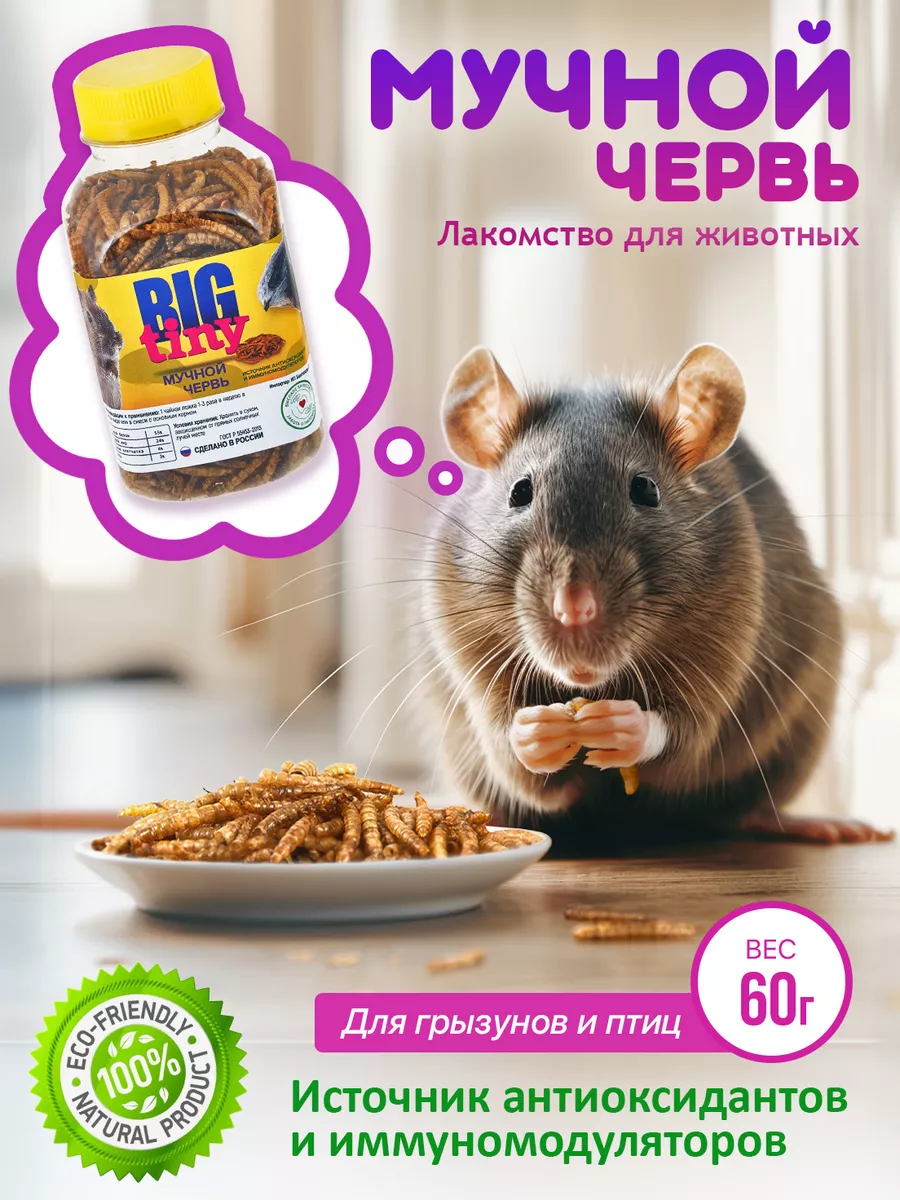 Мучной червь для крыс и хомяков, ежей и черепах Big Tiny купить по цене  10,76 р. в интернет-магазине Wildberries в Беларуси | 77986360