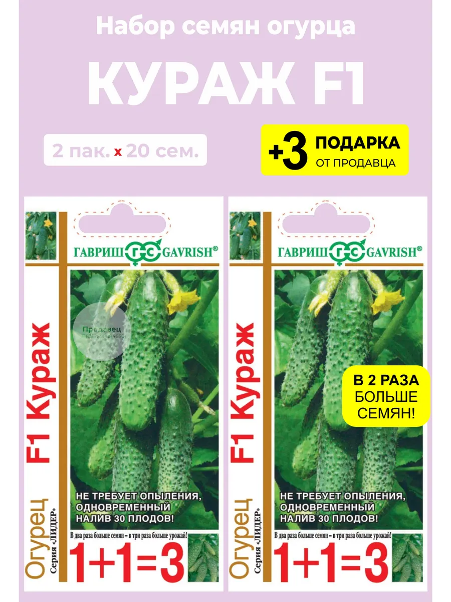 Кураж Огурцы Купить Семена