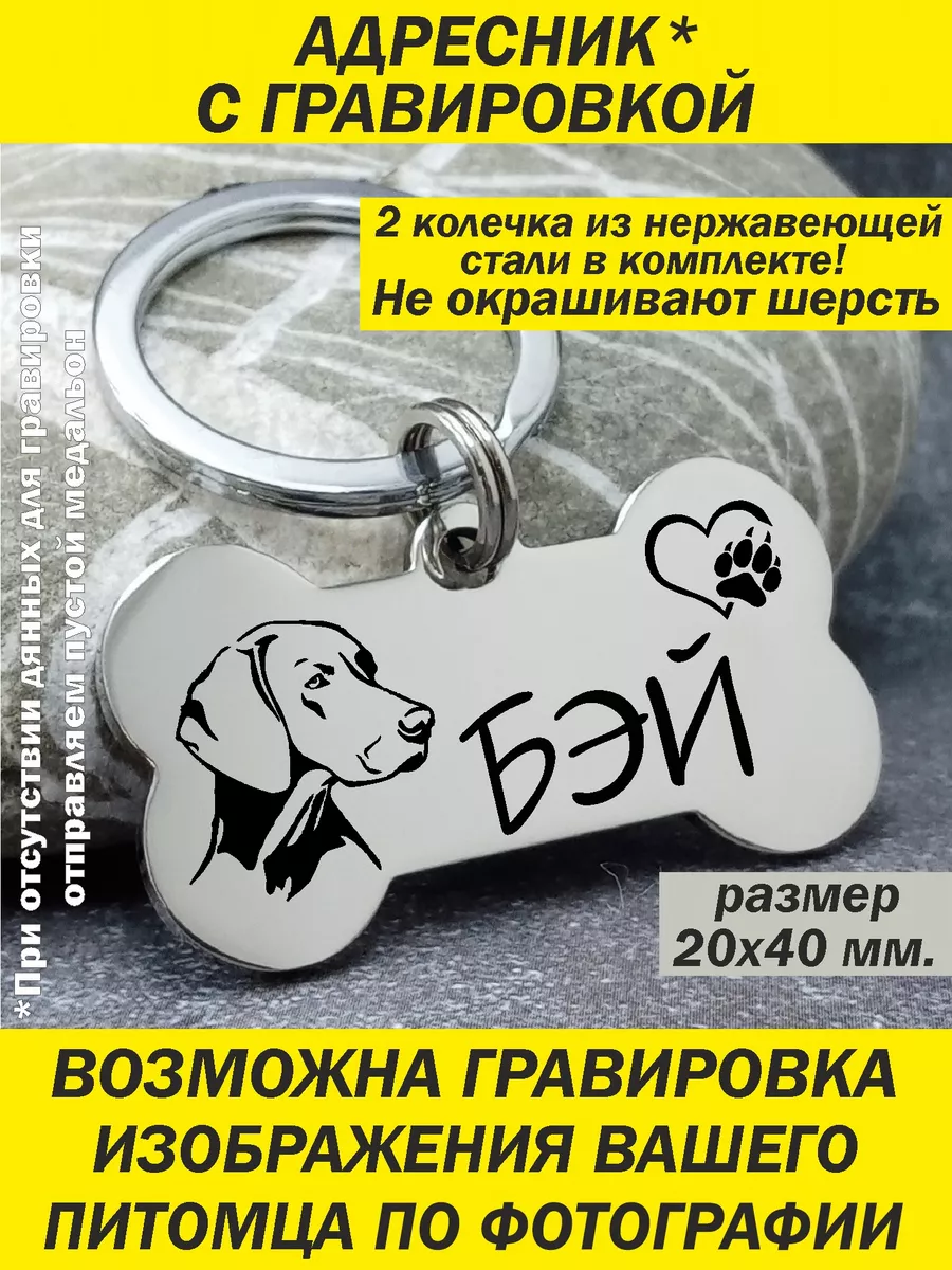 Адресник для собаки с гравировкой GravirovkaRU купить по цене 698 ₽ в  интернет-магазине Wildberries | 79306936