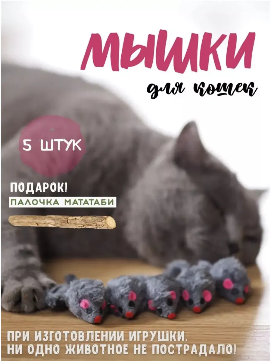 Игрушки для кошек мышки 5 шт 4ZOO купить по цене 6,47 р. в  интернет-магазине Wildberries в Беларуси | 79370032