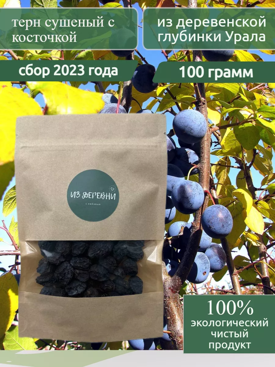 Терн сушеный ИЗДЕРЕВНИ купить в интернет-магазине Wildberries | 80321569