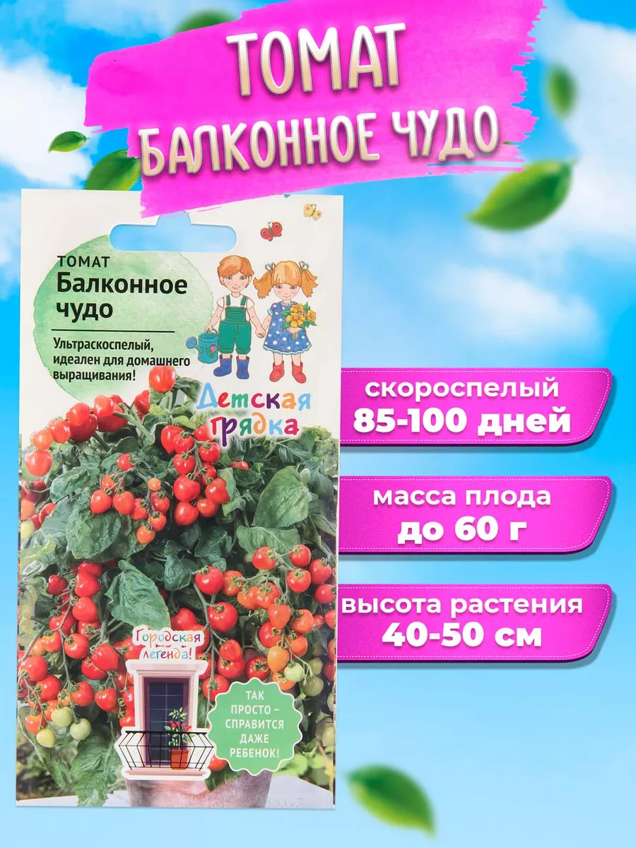 Томат Балконное чудо 0,1 г ДГ / семена томатов для посадки / помидор для  балкона дома теплицы сада