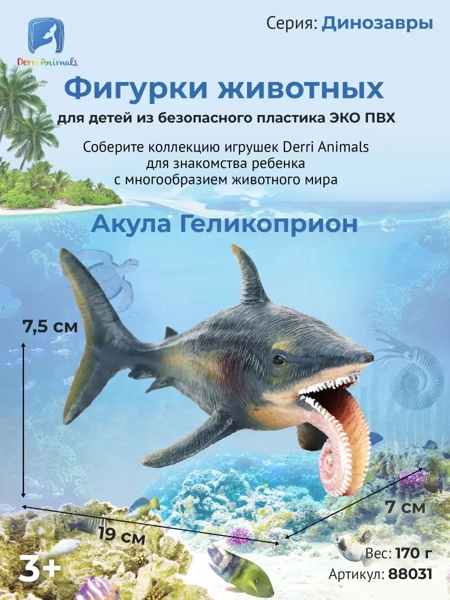 Фигурка животного Акула Геликоприон 88031 Derri Animals купить по цене 781  ₽ в интернет-магазине Wildberries | 85428567