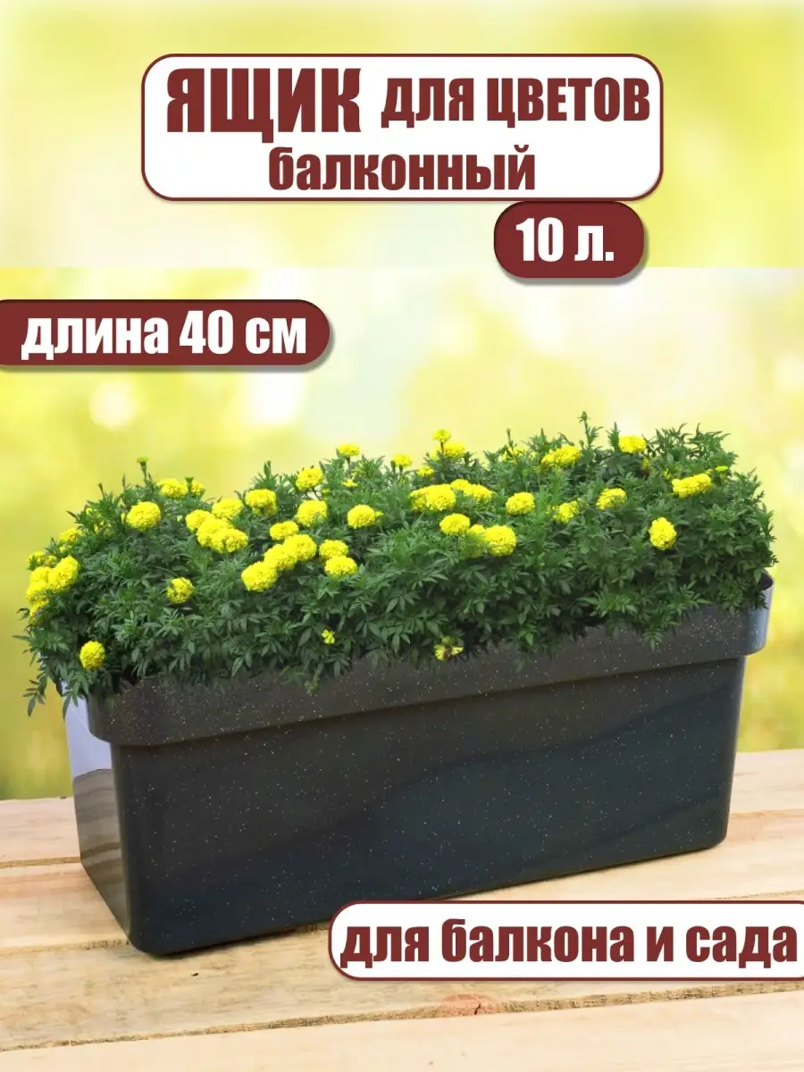 Выращивание петунии в контейнере на slep-kostroma.ru
