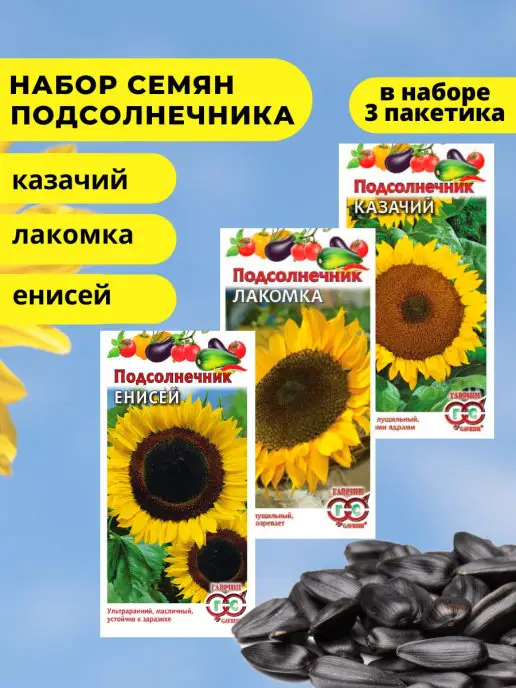Семена Подсолнечника Енисей Купить