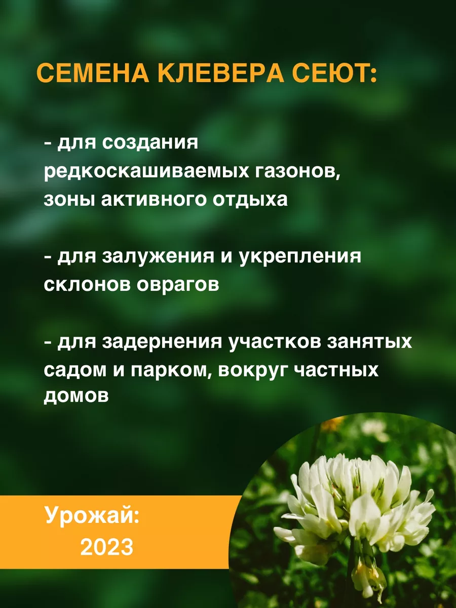 Клевер белый семена ползучий 500 гр (Матвей-СуперЭлита) ООО ВЭЛАГРО купить  по цене 211 600 сум в интернет-магазине Wildberries в Узбекистане | 87926432