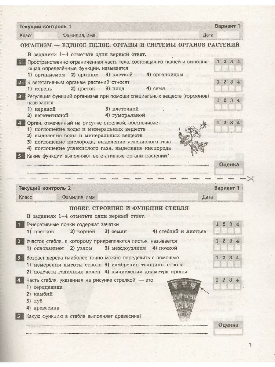 Биология. 6 класс: зачетная тетрадь