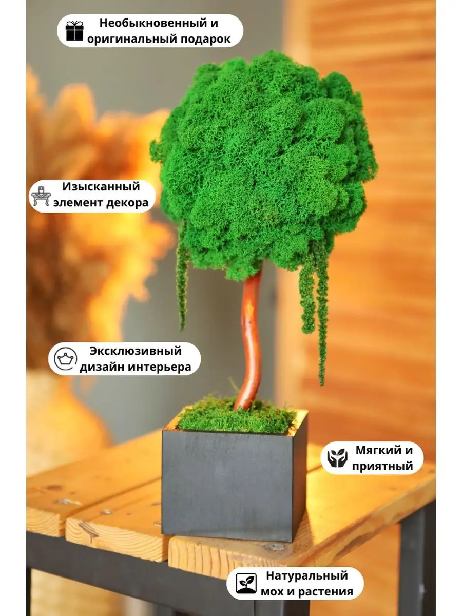Дерево декоративное мох стабилизированный Studia MiRaS купить по цене 1 749  ₽ в интернет-магазине Wildberries | 90198229