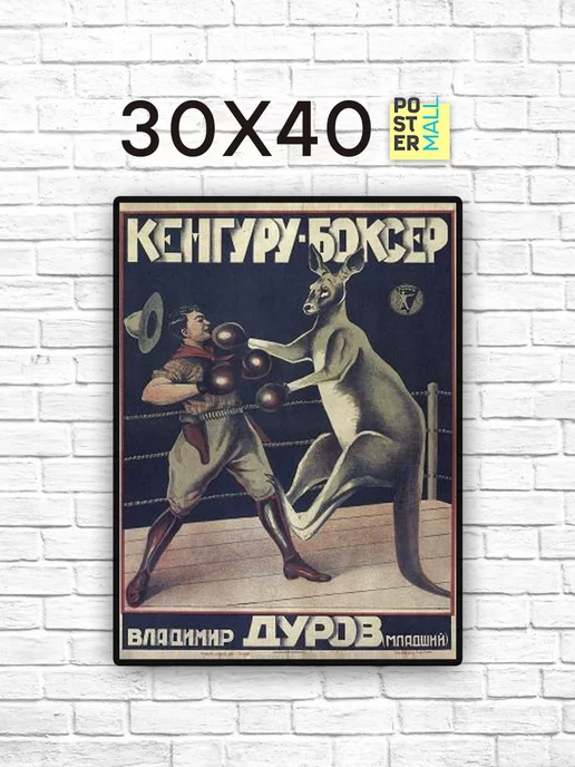 Poster Mall Постер Кенгуру Боксер (Друзья) 30х40 см