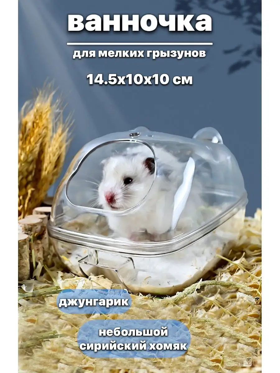 Ванночка купалка для хомяков Diartpets купить по цене 442 ₽ в  интернет-магазине Wildberries | 91658434