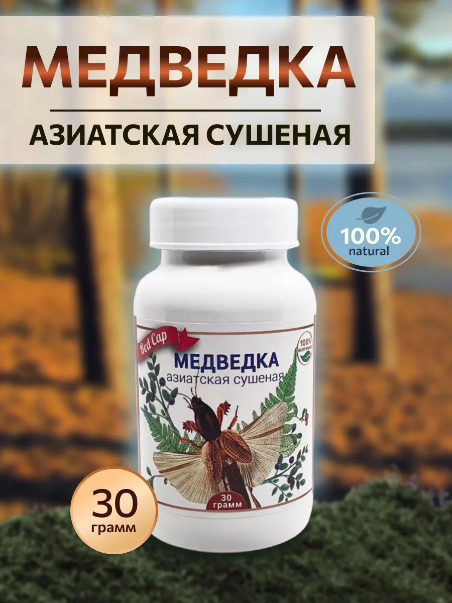 Медведка азиатская сушеная Red Cap купить по цене 1 403 ₽ в  интернет-магазине Wildberries | 91714447