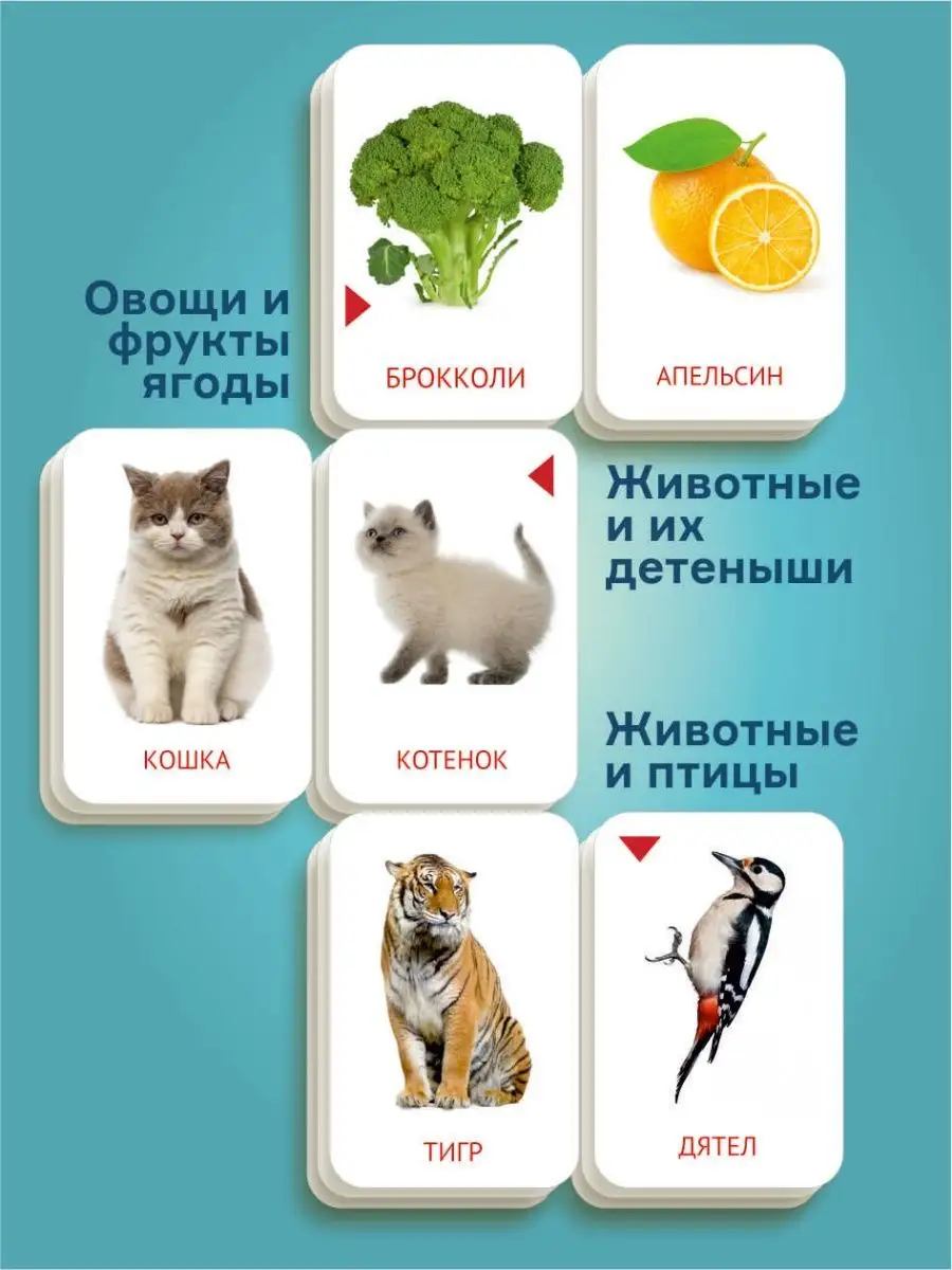 Карточки Домана Для Самых Маленьких Купить