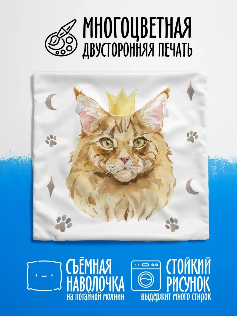 Племя Солнца | Wiki | Catwar (Вар) Amino