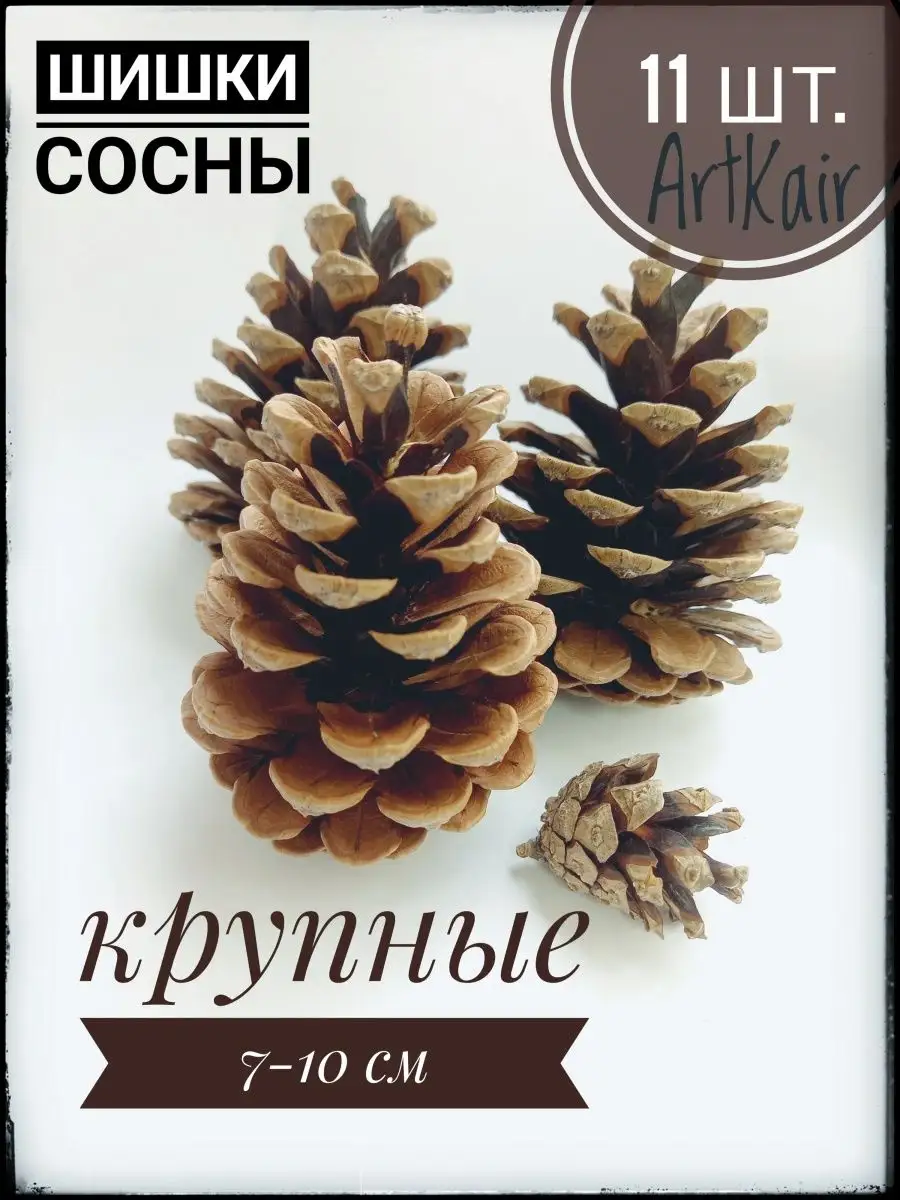 ArtKair Шишки сосны крупные отборные