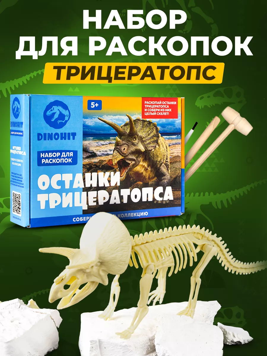 Раскопки для детей Скелет Динозавра Трицератопс Раскопки DINOHIT купить по  цене 504 ₽ в интернет-магазине Wildberries | 96164420