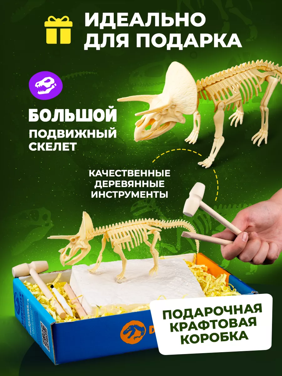 Раскопки для детей Скелет Динозавра Трицератопс Раскопки DINOHIT купить по  цене 601 ₽ в интернет-магазине Wildberries | 96164420