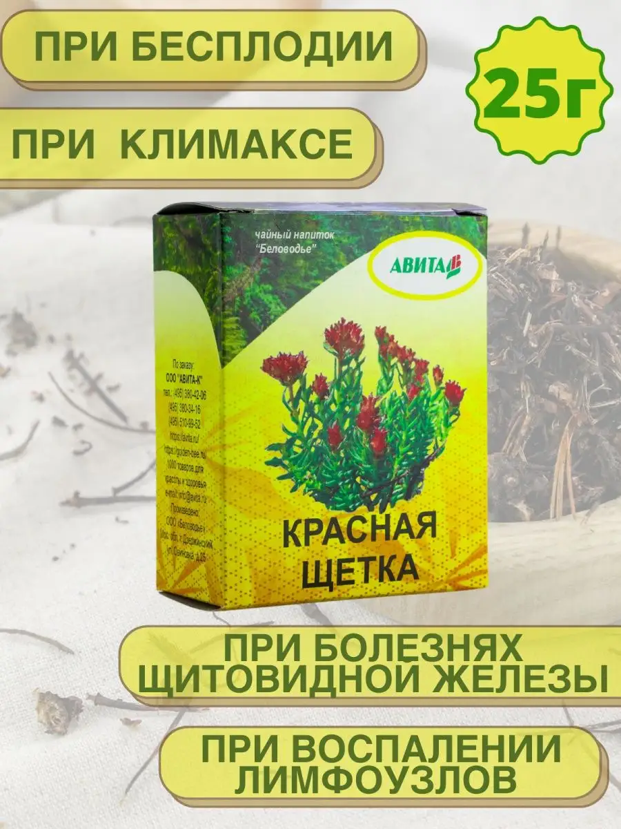 Красная щетка трава при мастопатии 25 г АВИТА-К купить по цене 7,99 р. в  интернет-магазине Wildberries в Беларуси | 96611796