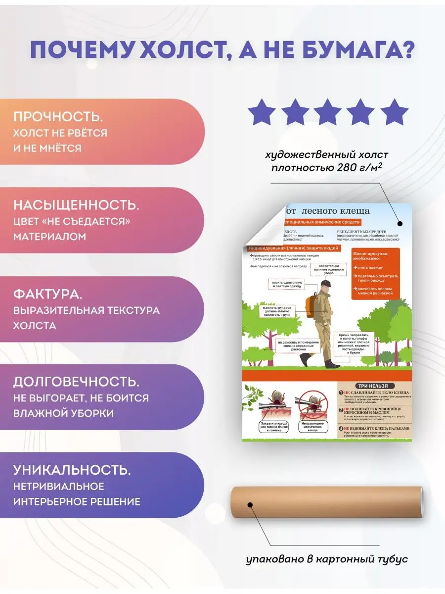 PosterNak Постер Клещи Профилактика от клещей (3) 30х40 см