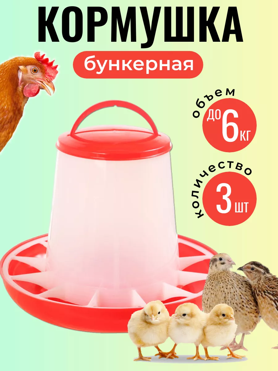 Конструкции кормушек для кур и цыплят