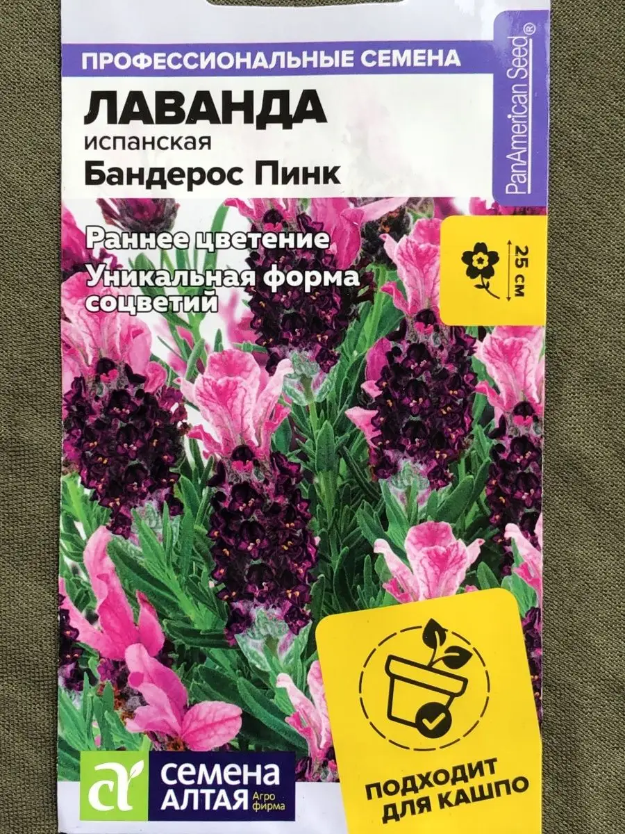 Семена испанской лаванды БАНДЕРОС ПИНК Лаванда купить по цене 299 ₽ в  интернет-магазине Wildberries | 98006602