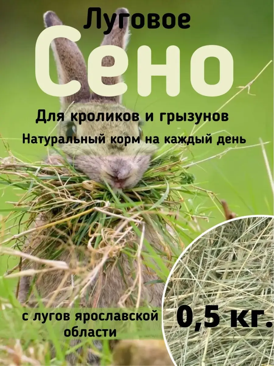 Сено для грызунов СХП «Курдумовское» купить по цене 246 ₽ в  интернет-магазине Wildberries | 98654323