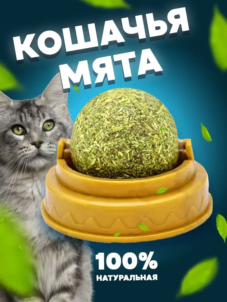 Кошачья мята, шарик, товар для кошек, игрушка для котов Zoocat May купить  по цене 88 ₽ в интернет-магазине Wildberries | 99145605