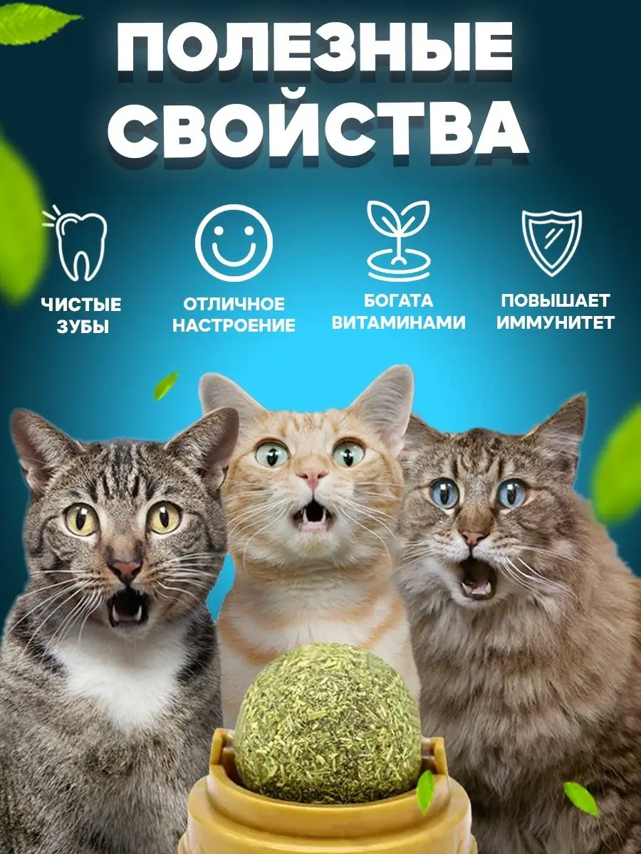 Кошачья мята, шарик, товар для кошек, игрушка для котов Zoocat May купить  по цене 88 ₽ в интернет-магазине Wildberries | 99145605