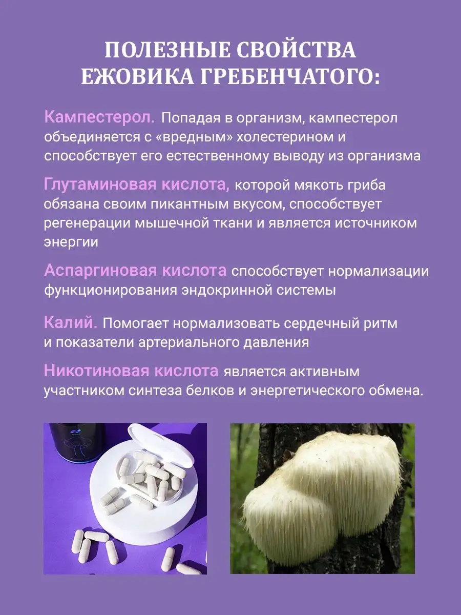 Ежовик Гребенчатый Купить В Аптеке Екатеринбург