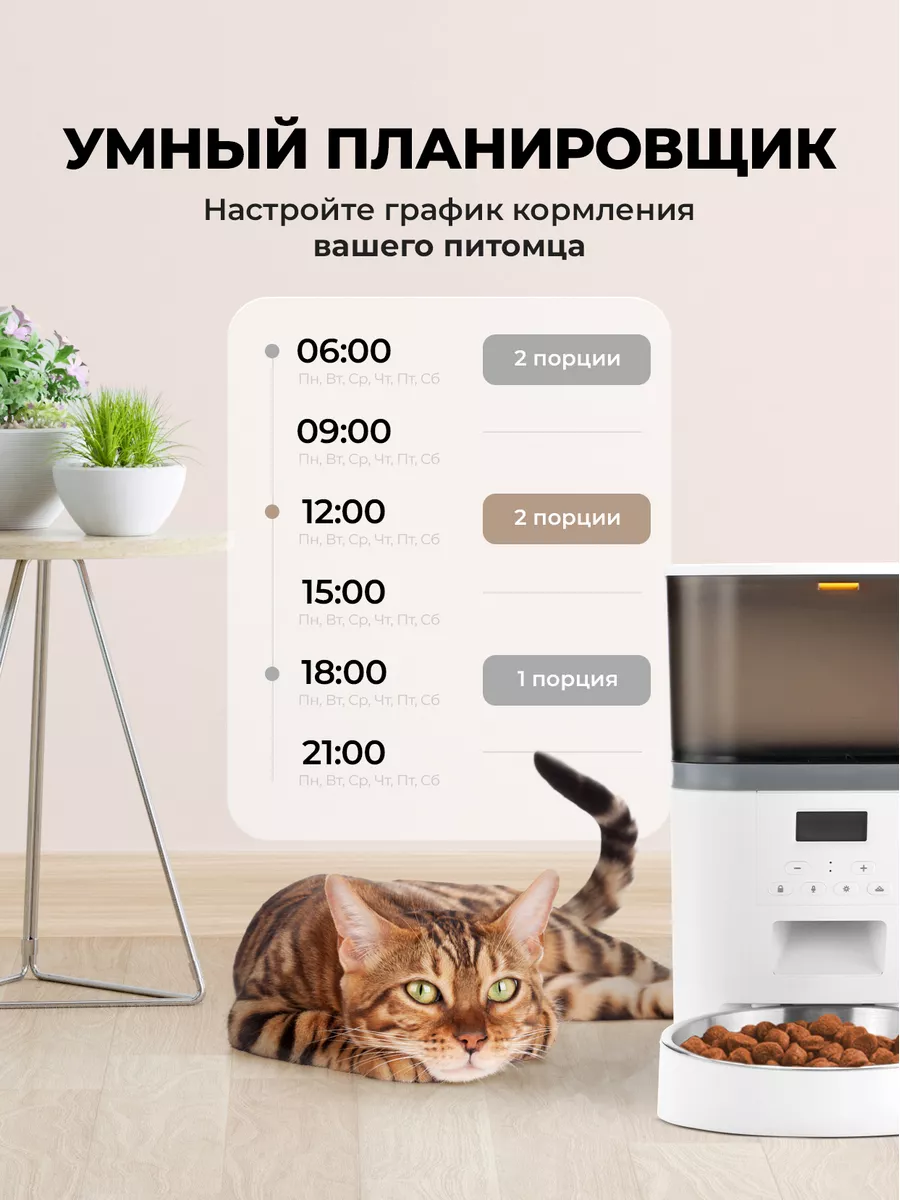 Автоматическая кормушка для кошек и собак с таймером PetPaw купить по цене  3 510 ₽ в интернет-магазине Wildberries | 99204322