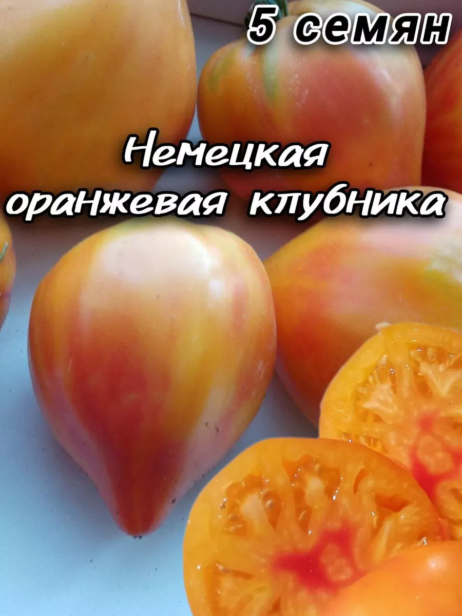 Томат Немецкая Оранжевая Клубника Отзывы Фото