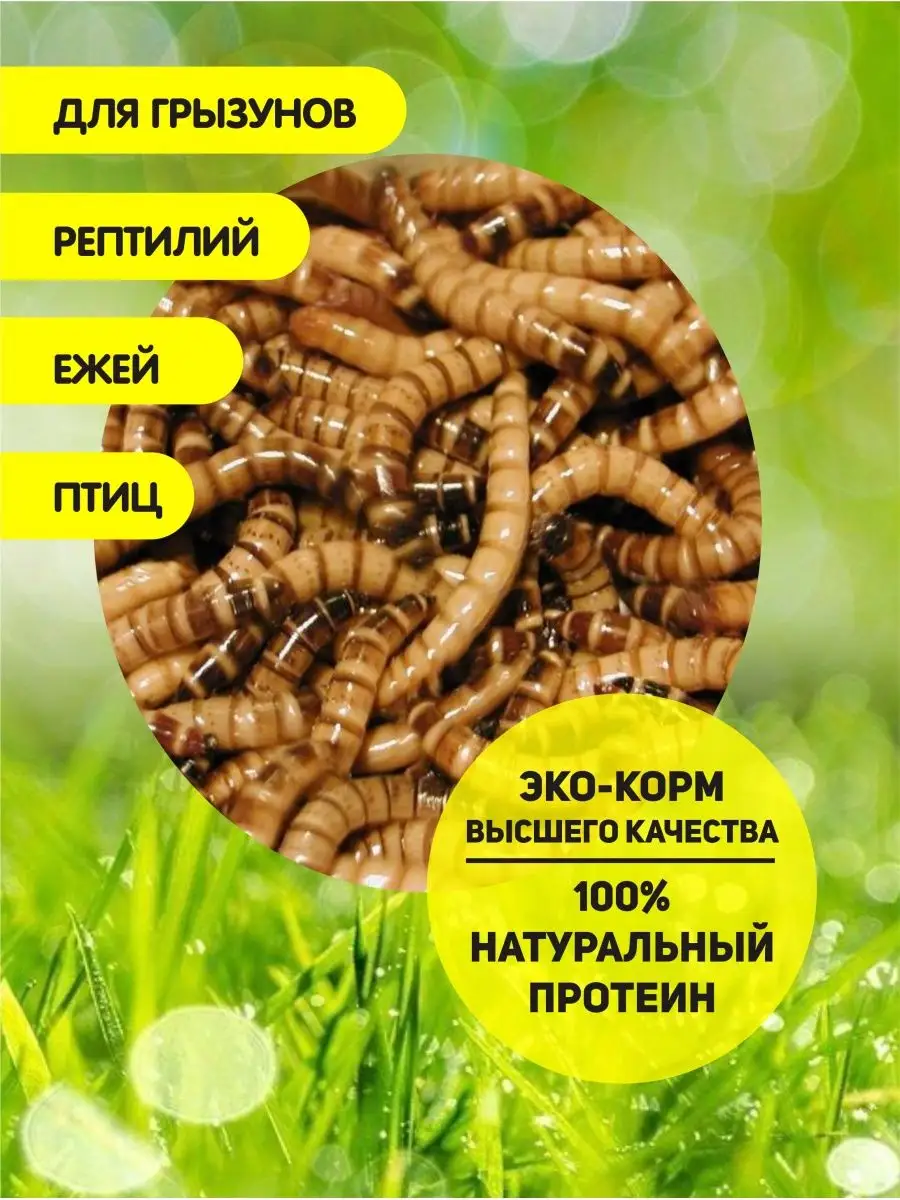 Мучной червь, для грызунов 1000 мл