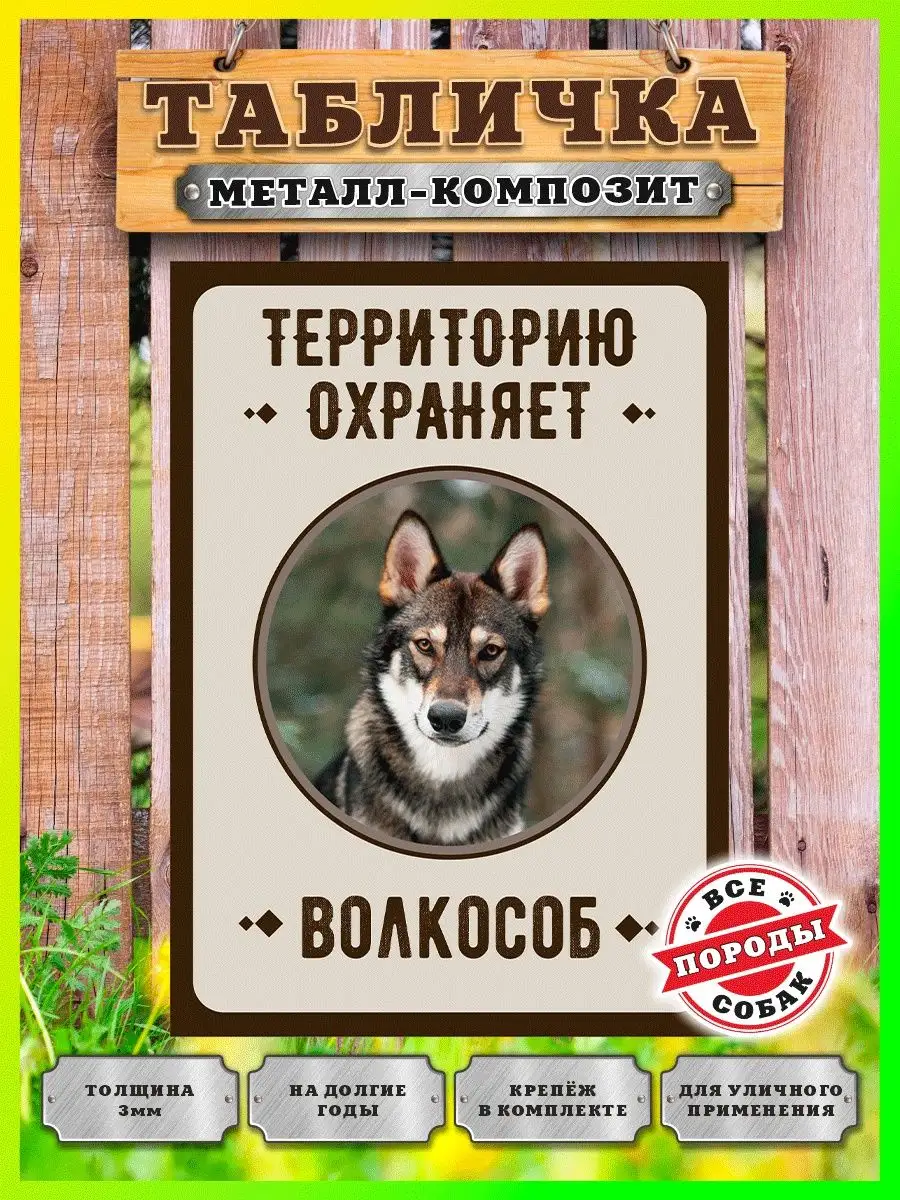 Табличка, Волкособ Злая собака купить по цене 455 ₽ в интернет-магазине  Wildberries | 99599186