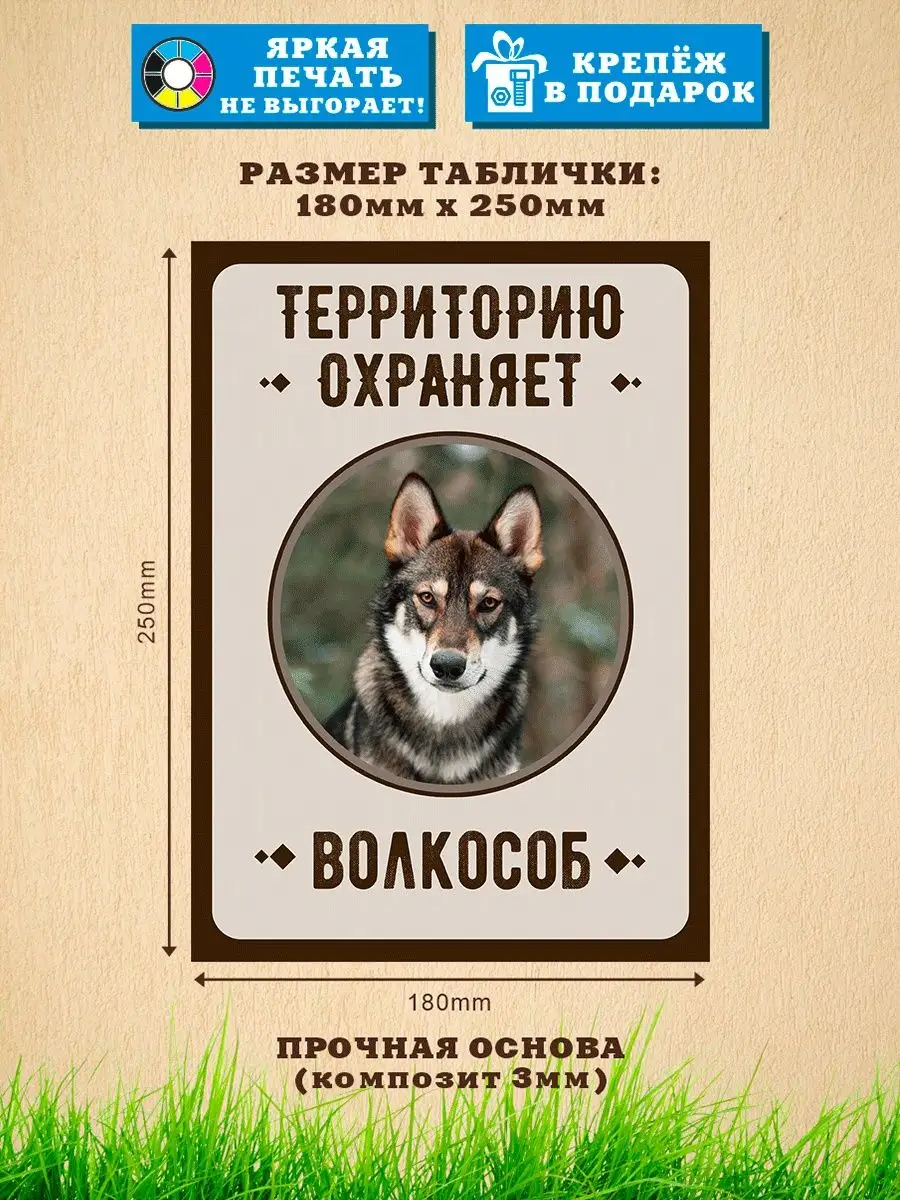 Табличка, Волкособ Злая собака купить по цене 455 ₽ в интернет-магазине  Wildberries | 99599186