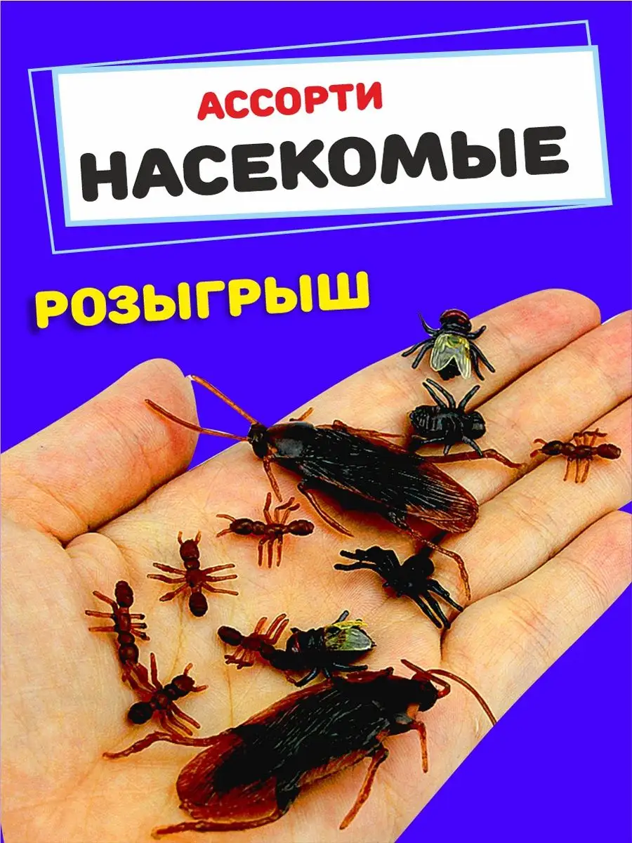 Таракан муха розыгрыш насекомые набор AYVA TOYS купить по цене 0 р. в  интернет-магазине Wildberries в Беларуси | 99810823